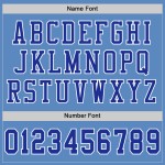 Maglia da calcio a rete blu chiaro personalizzata autentica Royal-White Maglia da calcio a rete blu chiaro personalizzata autentica Royal-White