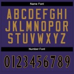 Maglia da calcio personalizzata Split Mesh viola, moda nera e bianca Maglia da calcio personalizzata Split Mesh viola, moda nera e bianca